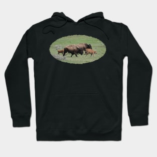 Buffalo Herd Hoodie